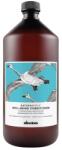 Davines Naturaltech Well-Being, Balsam pentru par, 1000 ml