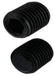  Hernyócsavar lapos véggel 10x10mm natúr DIN913 45H