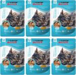 Super Benek Super Benek Sachet pentru pisici cu probleme urinare 6x100 g