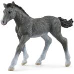 Schleich Figurina Schleich Horse Club Trakehner Foal +3 ani (13944) Figurina