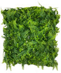 DekorPlaza Növényfal / Páfrány - Eukaliptusz 50x50cm A29246