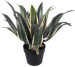 DekorPlaza Cserepes Agave Nagy 50 Cm A26305