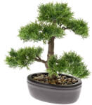 DekorPlaza Cédrus Bonsai 32 Cm Antracit Színü Kaspóban 420001