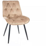 SIGNAL MEBLE Cherry II Bársony Étkezőszék Bézs Steppelt Kárpitozással