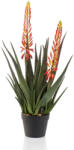 DekorPlaza Aloe Vera 2 Virágos Narancs/gumi/ 80 Cm 428524