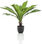 DekorPlaza Selyem Asplenium /Madárfészekpáfrány/ Cserepes, 75cm 427702
