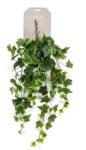 DekorPlaza Csüngő Borostyán Zöld 70 Cm 11_957