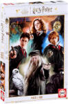 Educa Puzzle Educa din 500 de piese - Harry Potter (EDU19914) Puzzle