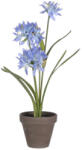 DekorPlaza Cserepes Mű Agapanthus Kék 45x20cm 1097996