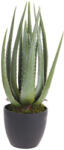 DekorPlaza Műnövény Aloe Vera 45cm 317220190