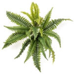 DekorPlaza Élethű Erdei Páfrány Műbokor 125 Cm 433148