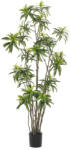 DekorPlaza Élethű Műnövény Dracéna 12 Ágú 210cm Magas 431127