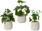 DekorPlaza Kerámiában Cserepes Zöld Műnövény 3 Féle 11x28cm 80_8554