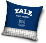  Yale University párnahuzat 40x40 cm (CBX213008YALE)