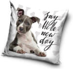  Kutyás New Day párnahuzat 40x40 cm (CBX195003DOG) - ostore
