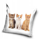 Cicás Squad párnahuzat 40x40 cm (CBX231195PNL) - ostore