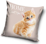  Cicás Home párnahuzat 40x40 cm Velúr (CBX214094PNL) - ostore