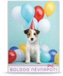 Ars Una névnapi üdvözlő extra borítékos képeslap B lufis csákós kutya (8445) (00384452)