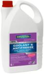 RAVENOL Антифриз RAVENOL ETC Concentrate Protect C12 EVO 5л (280560)