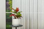 MENDOLA Perdea cu rejansă Splash Alb 1906 - Perdea elegantă cu broderie florală și bordură decorativă