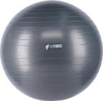 Fitforce Gym Antiburst 65 (gymantiburst65_u26a) Minge fitness