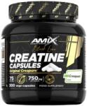 Amix Nutrition Creatine Creapure 750 mg [300 капсули]
