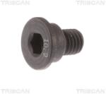 TRISCAN Surub, disc frana TRISCAN 8105 11662 (8105 11662) - fixbox