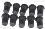 TRISCAN Surub, disc frana TRISCAN 8105 11666 (8105 11666) - automobilus