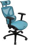 ThunderX3 Scaun Gaming ThunderX3 XTC - negru/albastru (TEGC-3073101.B1)