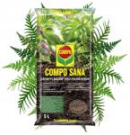 COMPO Zöld növények és pálmafák táptalaja 5L Keverék (COM_POD_PAL_5L)