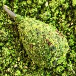 LK Baits Iq Method Ready Mix Citrus 600g (8595602017119)