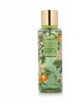 Victoria's Secret Melon Drench testpermet 250 ml (667557640921)
