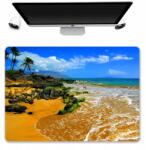  Íróasztal Alátét 50x35 Trópusi Tengerpart Minták (Mata 50x35 Na Biurko Nadruk Ciekawe Wzory)