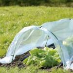 GardenLine Mini kerti üvegház fólia 1, 5x4m összecsukható (EVA5417)