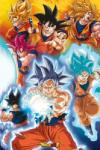 GB Eye Dragon Ball Gokus Transformations plakát