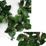 Griny 27, 6 m Egzotikus kúszónövények 12 db-os girland (BGP12)