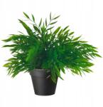 IKEA Bambusz Dekorációs Növény cserépben Magasság 28 cm Ikea Fejka (60433939)