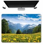  Asztali Alátét Védő Szőnyeg 50x35 Rét Alpok Minta (Ochronna Mata Na Biurko Ciekawe Wzory)