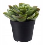 IKEA Mesterséges Szobanövény Pozsgás Dísznövény Ikea (70395300)