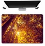  Asztali Alátét Védő Szőnyeg 50x35 Őszi Minták (Ciekawe Podkładki Pod mysz Na Biurko Ochrona)