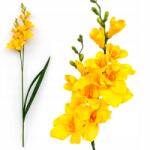 Przydasie. pl Mesterséges Frézia Szimpla Csokor Nád, Mint Élő Virág Dekoráció XL (#12602)