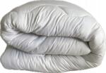 Textom Téli Paplan 135x200 Dupla Duo Vastag Meleg Kiváló Minőségű Szegett (KOŁDRA ZIMOWA 135X200 DUO BIAŁA)