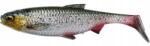 Savage Gear 74293 Savage Gear 3D River Roach Gumihal 12CM 1DB (74293)