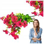 Griny Szörf Mű Muskátli Élő Petúnia Sötét Rózsaszín Erkélyre 1db (Griny)