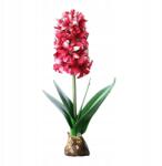 Griny Műjácint Levelekkel És Hagymával 31 cm, élő (GHI10311RO)