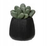 Kaemingk Kaktusz cserépben műnövény 1 db dekorációs 14x8, 5 cm (8720725785946)