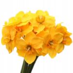 Griny Nárcisz 32 cm Élő Nárciszok Mesterséges Virágok Nárcisz csokor 6 db (GNA10326YE)