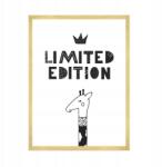  Gyerekposzter Limitált kiadás 50x70 cm arany keret (MP1-0225_50X70,045)