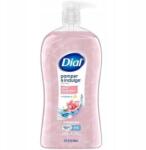 Dial Hidratáló tusfürdő testre Dial Silk & Magnolia 946ml (017000164625)