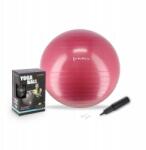 HMS Edzőlabda, rehabilitációs, gimnasztikai, fitnesz 65 cm, pumpa (17-42-109)